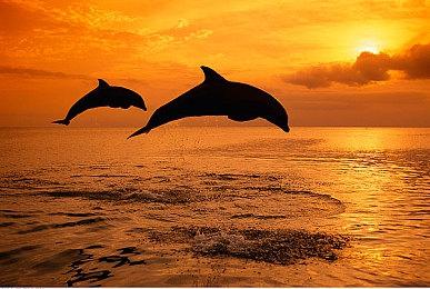 《狂野之心S》武器“槌”介绍 攻击多样高破坏力！